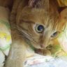 けんぼー profil fotoğrafı