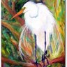 Фото профиля Egretta
