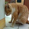 ななせ profil fotoğrafı