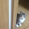Фото профиля くろみか