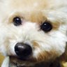 Ekko's profile picture