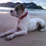 Orereta's profile picture
