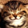 K27_Smile's profile picture