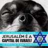 Profilbild von Pirituba