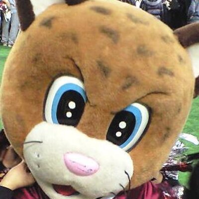 ともき's profile picture