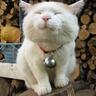 popoyo（´・ω・）ｽ's profile picture
