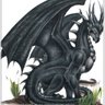 Slydragon05 的头像