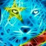 Profilbild von PALUKU