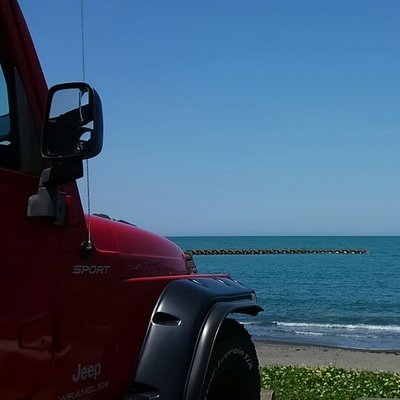 夜明けのサンゴ's profile picture