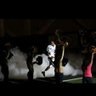 coach rakeem rowland profil fotoğrafı