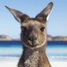 aaron connet's profile picture