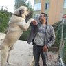 necdet dolu's profile picture