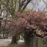 Фото профиля ماهر