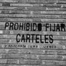 lapuchinapia profil fotoğrafı