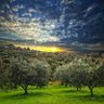 Фото профиля kadriye özdemir