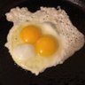 Toast with the Most profil fotoğrafı