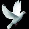 Profilbild von راعي الجدعه