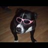 Фото профиля OZZY0⃣6⃣