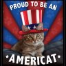 Star-Spangled Pussy profil fotoğrafı