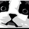 Thi V. โ's profile picture