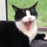Profilbild von Jack Hall