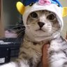 Profilbild von jun-o