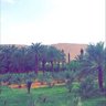 أ - م - دخيل سليمان آلدخيل's profile picture