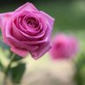 Фото профиля الحمدلله