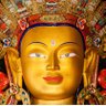 Фото профиля Bali Saani
