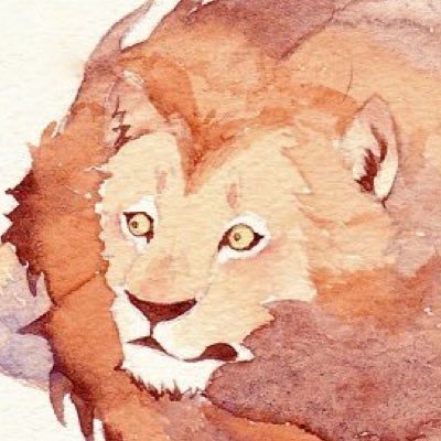 rami_taso's profile picture