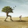 mmb profil fotoğrafı