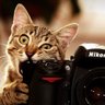 Profilbild von Jay S