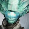 Traw_nick's profile picture
