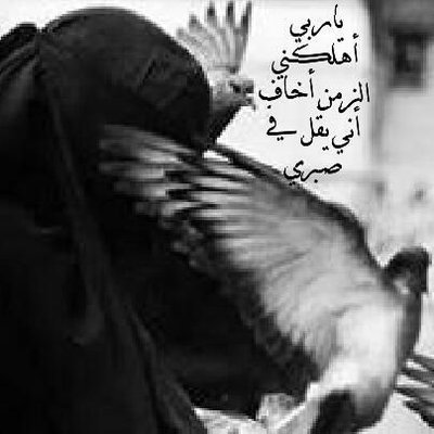 Fadelh_Alasheby's profile picture