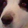 mrondael's profile picture