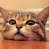 Mr.Lazy's profile picture