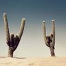 David Holstad's profile picture