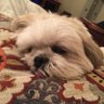 Alf's profile picture