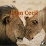VickiMilaitis - TeamHegseth 的头像