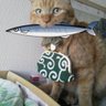 カントナ. profil fotoğrafı
