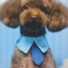 黒田晴信's profile picture