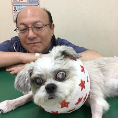浅井 厚 DVM. PhD's profile picture