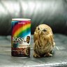だすたん 的头像