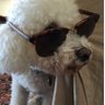 Emma Connor's profile picture
