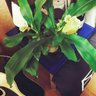 Фото профиля aki☆Yong forever🌈🌴🤙🏽💙