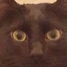 cheesus, I identity as Cromwell🤡🌏's profile picture