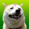 柴犬おぽしゃ's profile picture