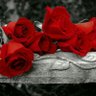 Profilbild von بريق الماس