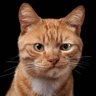 Profilbild von Cristobal
