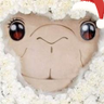ぼた's profile picture